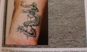 Tatuaż wiara: wąż z koroną na głowie, symbol triumfu i siły.