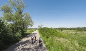 Trzech rowerzystów przemierza gazy trasę rowerową wśród zieleni i pól.