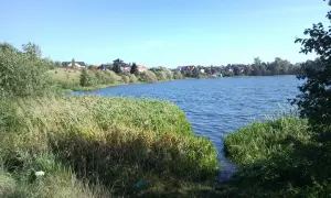 Jezioro Tuchomskie: piękne miejsce z ekologicznymi wyzwaniami i atrakcjami