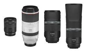 Cztery obiektywy Canon: 85mm, 100-500mm, 600mm i 800mm. Zestaw do fotografii tele, gdzie każdy obiektyw działa jak telekonwerter, przybliżając odległe obiekty.