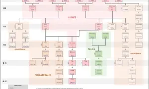 Arbre généalogique complexe, montrant la lignée, les alliés et les collatéraux. Les numéros indiquent la position de chaque individu, utile pour les archives départementales 58 recensement.