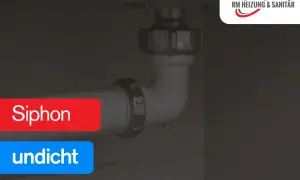 Tropfen unter dem Siphon. Ein undichter Siphon verursacht Wasserschäden.