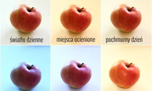Jabłka w różnych warunkach oświetleniowych. Różnice w kolorze i cieniach pokazują, jak światło wpływa na współczynnik załamania światła i odbicie.