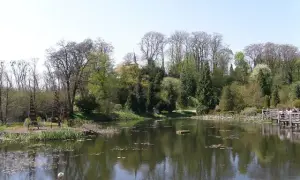 Najlepsze atrakcje w Bolestraszycach, które musisz zobaczyć
