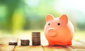 Po jakim czasie provident oddaje do windykacji i co możesz zrobić?