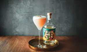 Gin Cocktails meistern: Rezepte & Tipps für perfekte Drinks