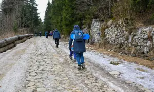 Ludzie idą kamienistą drogą przez las. Wiosenne topnienie śniegu i lodu może być jedną z przyczyn zamykania szlaków turystycznych w parkach narodowych.