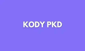Jaki kod PKD dla sprzedaży internetowej? Uniknij błędów w rejestracji