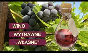 Jak zrobić wino wytrawne z winogron krok po kroku bez błędów