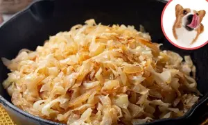 Czy pies może jeść kapustę kiszoną? Korzyści i zagrożenia dla zdrowia