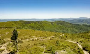 Malowniczy szlak na Baranią Górę, wijący się przez zielone wzgórza Beskidu Śląskiego. Dwoje turystów podziwia panoramę.