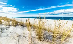 Piasek, trawy morskie i błękitne niebo nad Bałtykiem – to jedne z najpiękniejszych plaż w Polsce.