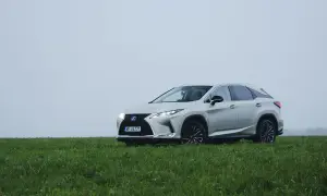 Srebrny Lexus RX 450h na tle zielonej łąki i mglistego nieba. Elegancki SUV gotowy na każdą podróż.