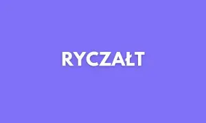 Czy ryczałt się opłaca? Sprawdź, kiedy warto go wybrać i zyskać więcej