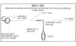 Schemat "Bolt Rig" z haczykiem z włosem, przynętą, krętlikami i ołowiem.