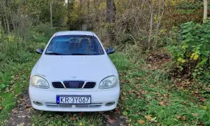 Białe Daewoo Lanos z napisem "WHITE PIGGY" na błotniku, zaparkowane na leśnej ścieżce wśród jesiennych liści.