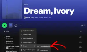 Jak dodać utwór do playlisty na Spotify - proste kroki, które musisz znać