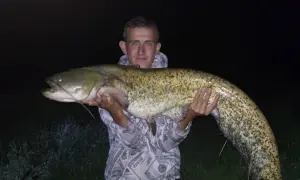 Mężczyzna trzyma ogromnego suma. Czy to jest odpowiedź na pytanie, ile waży sum 100 cm?