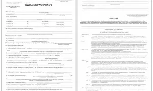 Sprostowanie świadectwa pracy: pismo wyjaśniające zawiera informacje o zatrudnieniu, urlopach i innych kwestiach związanych ze stosunkiem pracy.