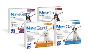 NexGard Kautabletten für Hunde, die Zecken und Flöhe bekämpfen. Afoxolaner ist der Wirkstoff. NexGard hund giftig? Nein, bei korrekter Anwendung sicher.