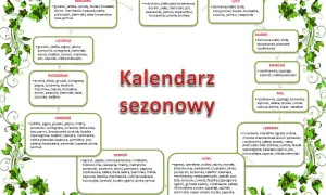 Kiedy sezon na cukinie? Lipiec i sierpień smak i oszczędność