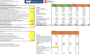 Polski ład: realne koszty dla małych firm. Kalkulator pokazuje, jak zmiany wpłynęły na dochód netto.
