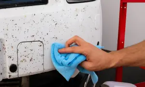 Limpia los restos de insectos del coche con un paño azul. Aprende cómo quitar los mosquitos del coche fácilmente.