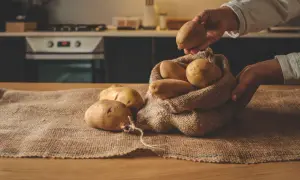 Ręce wkładają ziemniaki do worka z juty. Właściwe przechowywanie ziemniaków zapewnia ich świeżość.
