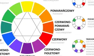 Koło barw florystyka: podstawowe, pochodne i trójkolorowe. Pokazuje harmonijne połączenia kolorów dla kompozycji kwiatowych.