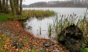 Jezioro Kczewskie: idealne miejsce na wędkowanie i relaks w naturze