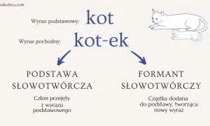 Wyraz "kot-ek" powstaje przez dodanie przyrostka "-ek" do podstawy "kot".