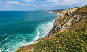 Acantilados con flores amarillas y mar turquesa. Un paisaje espectacular que invita a descubrir qué ver en Getxo.