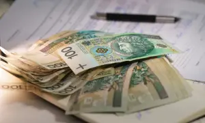 Stos banknotów 100 zł leży na dokumentach. W tle widać długopis. To może być pomoc dla osób z mops znaczny stopień niepełnosprawności.