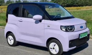 Uroczy, fioletowy chiński elektryk z czarnym dachem stoi na tle zielonej łąki.
