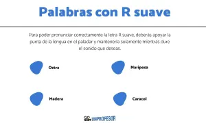Palabras con R suave: Ostra, Mariposa, Madera, Caracol. Aprende a pronunciar la R suave.