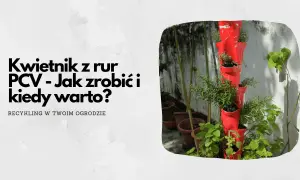 Pionowy kwietnik z rury PCV, wypełniony ziołami. Dowiedz się, jak zrobić taki kwietnik i kiedy warto go wykonać.