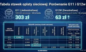 Porównanie taryfy G11 i G12w: G11 kosztuje 303 zł za 1000 kWh, G12w 63 zł. Tabela stawek sieciowych.