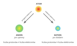 Schemat ilustruje proces jonizacji: atom staje się anionem (przyjęcie elektronu) lub kationem (oddanie elektronu).