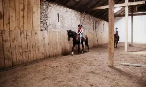 Stadnina koni Arabka w Dziećkowicach – odkryj wyjątkowe konie