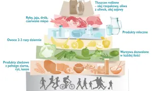 Piramide żywienia: warzywa, owoce, produkty zbożowe, nabiał, ryby, drób, chude mięso, tłuszcze roślinne. Przepisy na zdrową dietę po zawale i stentach.