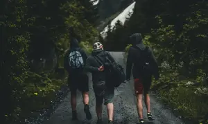 Tres amigos caminan por un sendero boscoso, una aventura perfecta para conocer gente y disfrutar de la naturaleza.