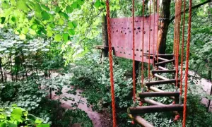 Park Linowy Barbarka: trasy, ceny, dojazd. Planuj rodzinny wypad!