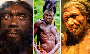 Triptyk som visar olika tolkningar av neandertalare utseende. En mörkare modell med skägg, en mager man med dreadlocks och en ljusare modell med kraftigt ansikte och skägg.