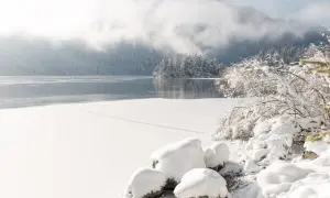 Eibsee Winter: Eisbedeckter See, schneebedeckte Bäume und Felsen unter nebligen Bergen. Ein friedlicher Anblick.