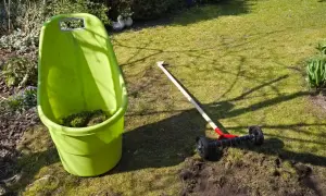 Grön tunna med mossa bredvid en vertikalskärare redo att ta bort mossa från gräsmattan.