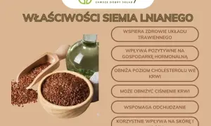 Siemię lniane nie tuczy! Jak wspiera odchudzanie? Sekrety lnu