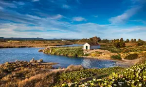 Ein kleines weißes Haus am Wasser im Ria Formosa Nationalpark, umgeben von üppiger Vegetation und blühenden Pflanzen.