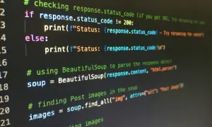 Code Python affichant le statut d'une requête web. Il vérifie si le code de statut est différent de 200, puis utilise BeautifulSoup pour trouver des images. Les arguments de python sont utilisés ici.