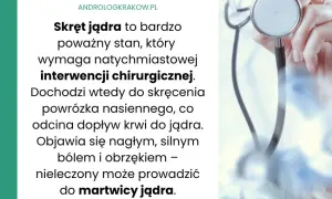 Urolog czy androlog? Kiedy iść z problemami jąder?