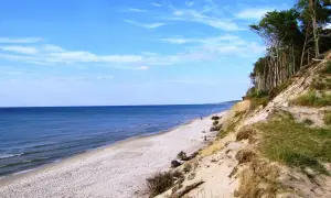 Piękna plaża i las na klifie, idealne orzechowo atrakcje dla miłośników przyrody.